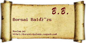 Borsai Balázs névjegykártya
